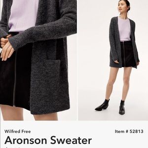 Aritzia Aronson Cardigan / Sweater